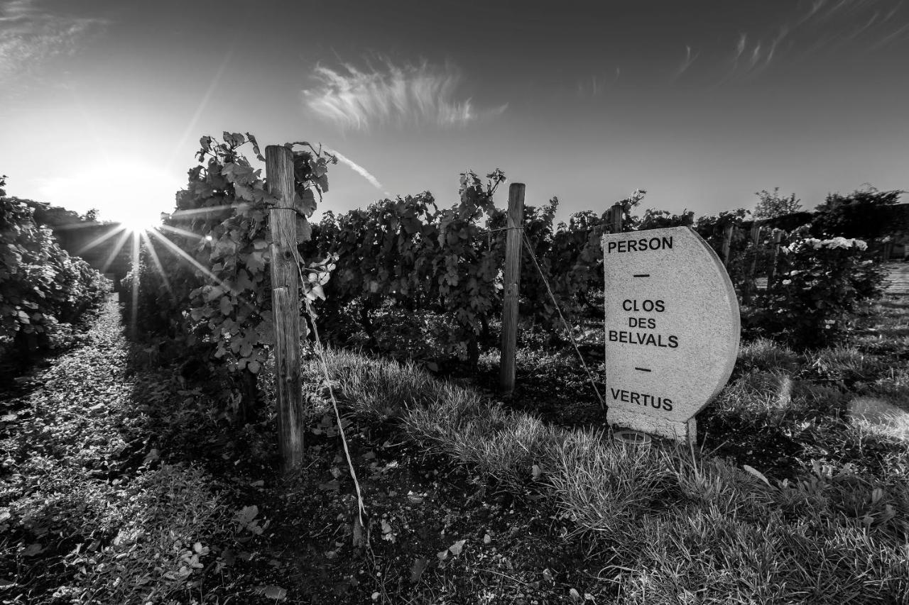 Le Clos Des Belvals Blancs-Coteaux Eksteriør bilde